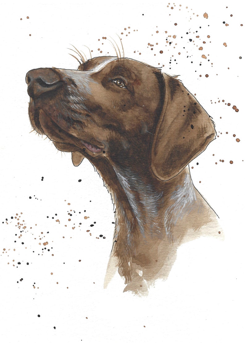 May include: A watercolor painting of a brown and white dog with a speckled background. The dog is looking up and to the right.
