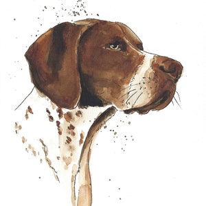 May include: Watercolor painting of a brown and white German Shorthaired Pointer dog looking to the right. The dog's head and neck are visible, with a white background and brown splatter paint.