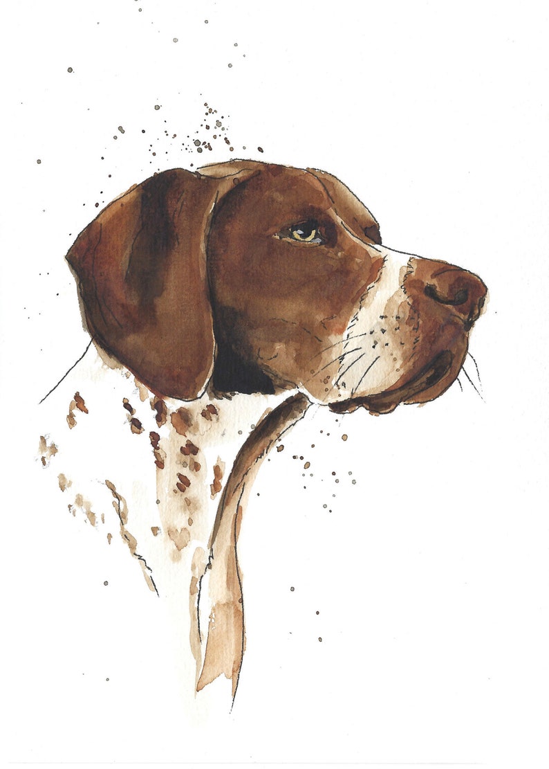May include: Watercolor painting of a brown and white German Shorthaired Pointer dog looking to the right. The dog's head and neck are visible, with a white background and brown splatter paint.