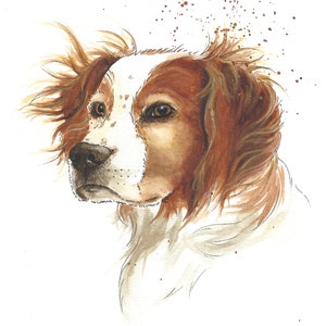 Hand painted portrait of pets. Personalized watercolor from photo. Commemorative memories. Australian Shepherd Dog image 9