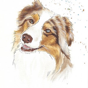 Hand painted portrait of pets. Personalized watercolor from photo. Commemorative memories. Australian Shepherd Dog image 6