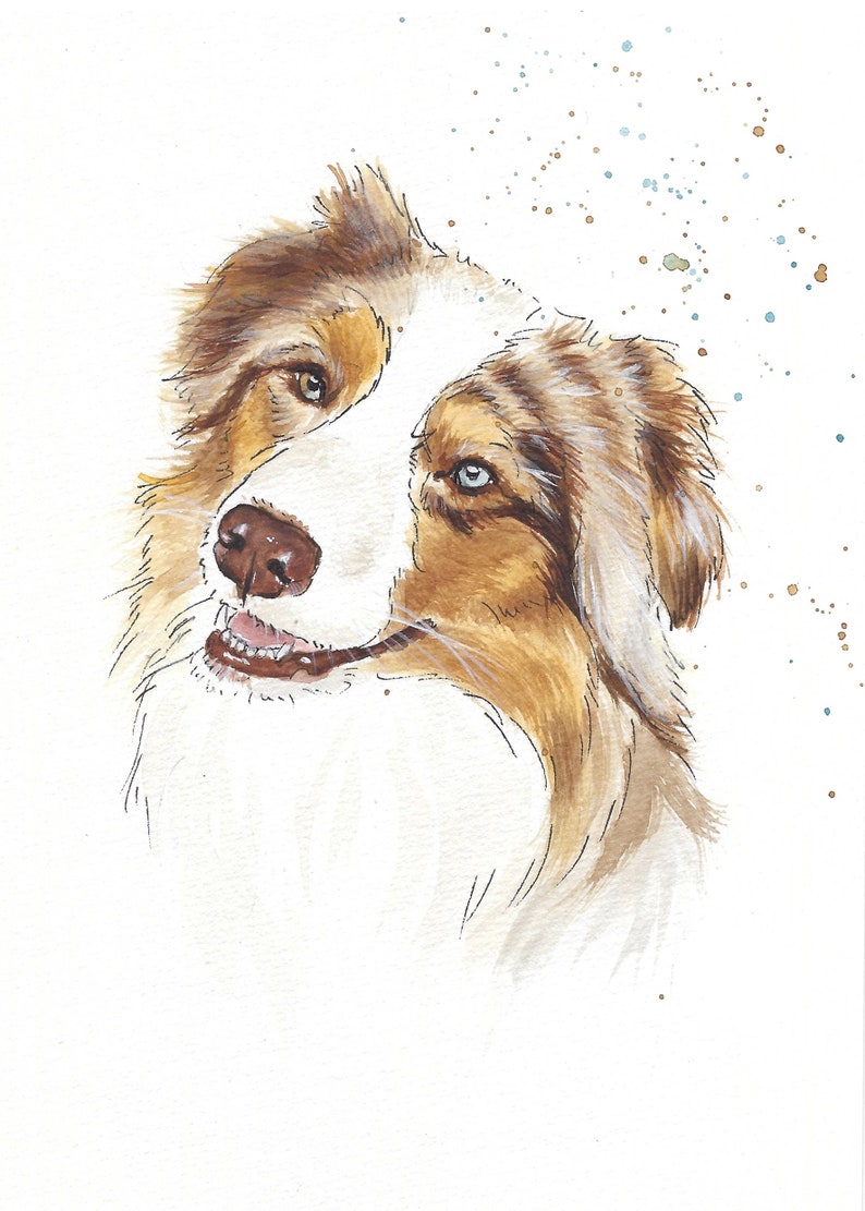 Hand painted portrait of pets. Personalized watercolor from photo. Commemorative memories. Australian Shepherd Dog image 6