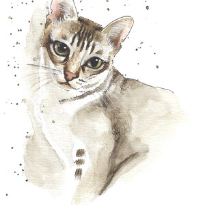 Personalized pet portrait handmade in watercolor from photo Original watercolor of a Siberian cat Pet memorial image 9