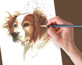 Personalized animal portrait in watercolor from photo - Breton Spaniel Dog