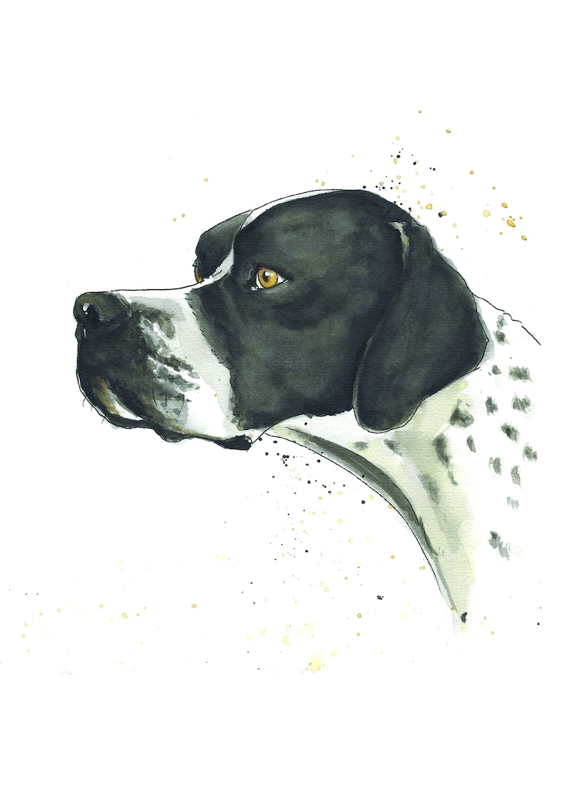 May include: Watercolor painting of a black and white dog with brown eyes. The dog is looking to the right of the image. The background is white with gold and black splatters.