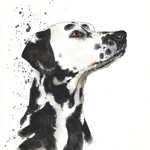 May include: A watercolor painting of a Dalmatian dog's head and neck. The dog is looking to the right and has black spots on a white background. The painting has a splatter effect around the dog's head.