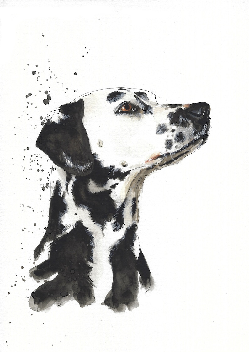 May include: A watercolor painting of a Dalmatian dog's head and neck. The dog is looking to the right and has black spots on a white background. The painting has a splatter effect around the dog's head.