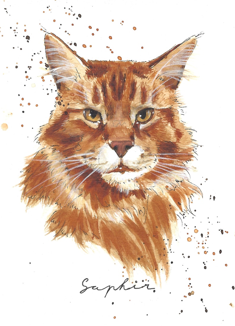 May include: Watercolor painting of a brown tabby cat with green eyes. The cat is looking directly at the viewer. The painting is signed "Saphir" in the bottom right corner.