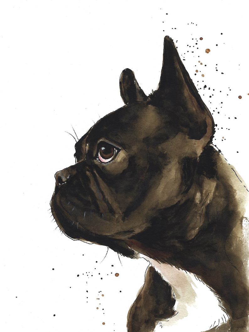 May include: A watercolor painting of a black French Bulldog looking to the side. The dog's head and ears are in focus, with the rest of the body blurred. The background is white with brown splatters of paint.