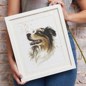 Hand painted portrait of pets. Personalized watercolor from photo. Commemorative memories. Australian Shepherd Dog image 1