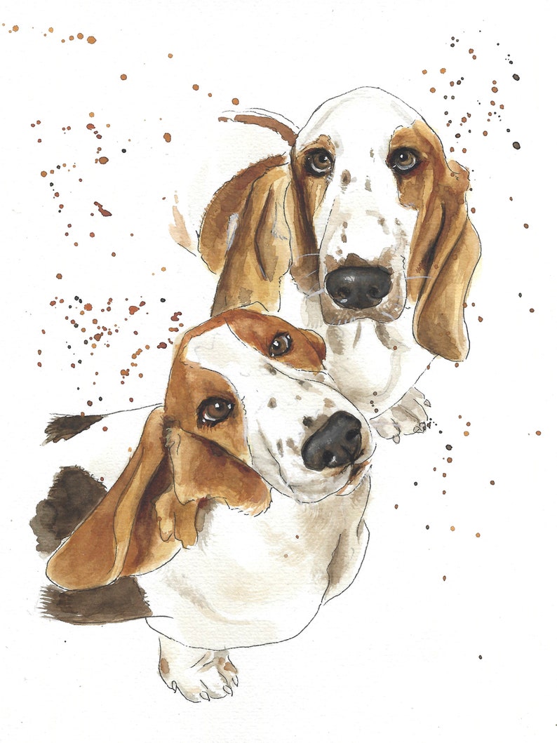 May include: Watercolor painting of two basset hounds, one brown and white and the other white with brown spots, looking at the camera. The painting has a brown splatter background.