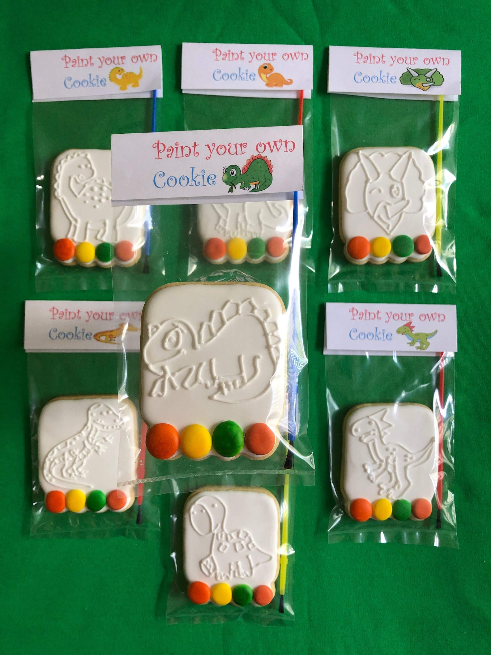 Paint Your Own Cookie Custom Paint Cookies PYO Cookies Etsy