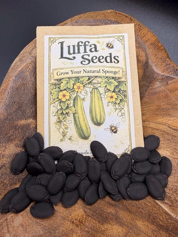 Luffa Seeds and growing instructions