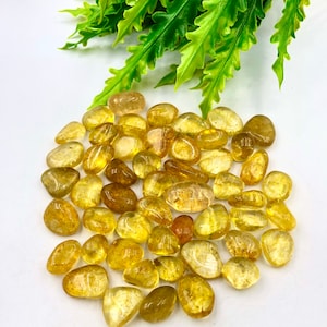 May include: A collection of tumbled citrine stones, each with a light yellow to golden hue. The stones are smooth and polished, with a translucent appearance.