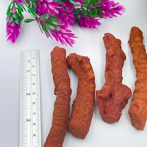 100% Natural Raw Red Coral AAAA+ Top High Quality Bright Red Coral Color. Best For   Polishing Cutting Jewelry Available in Wholesale price.
