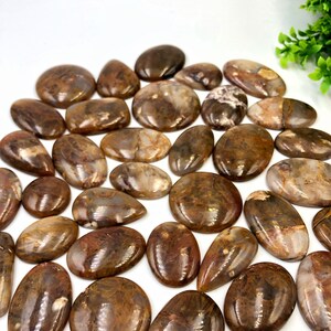 Madeira petrificada marrom lisa de qualidade premium 100% natural. Item raro, melhor para fazer joias embrulhando fio de cura cabochão artesanal.