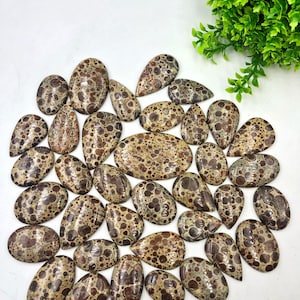 100% Natürliche Top Qualität Glatt MohnJaspis Cabochon. Einzelstück, am besten zum Herstellen von Schmuck handgemachte Drahtverpackung.
