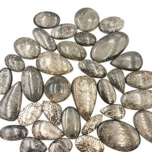 100% naturalny czarny kaboszon skamieniałości Wyjątkowa najwyższa jakość do tworzenia ręcznie robionej biżuterii wire wrapping oraz do uzdrawiania reiki i medytacji