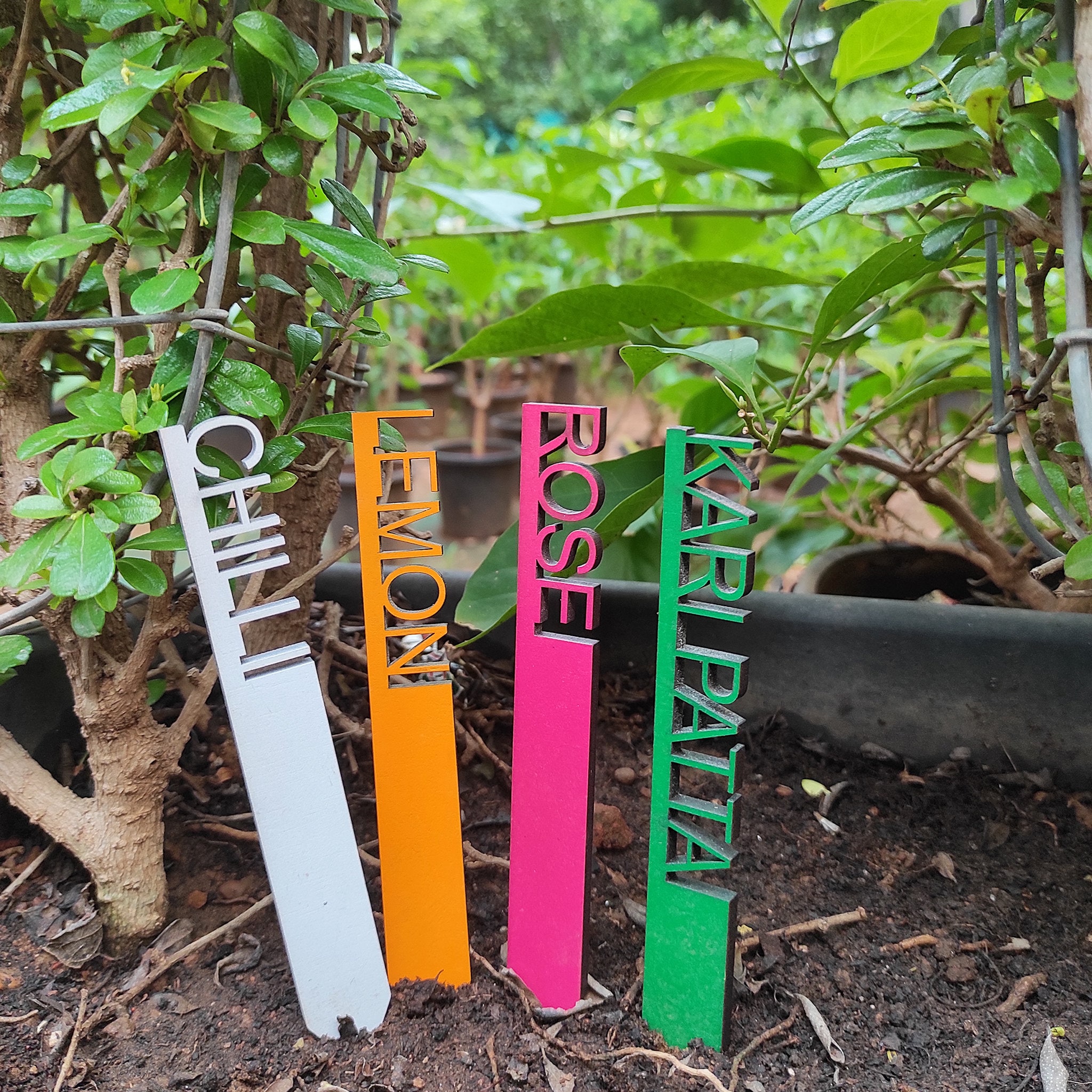 Plant Markers for Plants Plant name tags Planters name Etsy