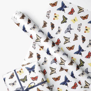 Butterfly Wrapping Paper - Animal Illustrated Wrapping Paper - Large Wrapping Paper Roll