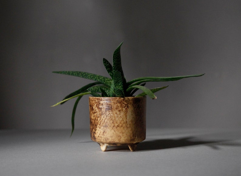Handmade Flower Pot on four legs, Footed Ceramic planter, honey brown color R: 10cm 3.9 image 2