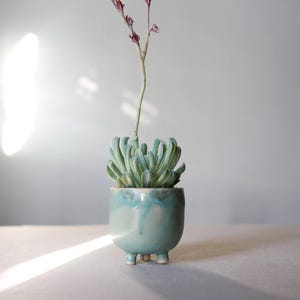 Op de afbeelding: Een kleine, lichtblauwe keramische plantenbak met drie kleine voetjes, met een vetplant met lichtgroene bladeren en een lange, slanke stengel met kleine roze knoppen. De plantenbak heeft een glanzende afwerking met een donkerdere blauwe glazuur langs de rand.