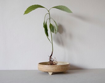 Bonsai pot, Ceramic footed planter, 4 legs flower pot, Beige, R: 20cm (7.8")