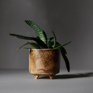 Handmade Flower Pot on four legs, Footed Ceramic planter, honey brown color R: 10cm 3.9 image 1