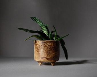 Handmade Flower Pot on four legs, Footed Ceramic planter, honey brown color R: 10cm (3.9")