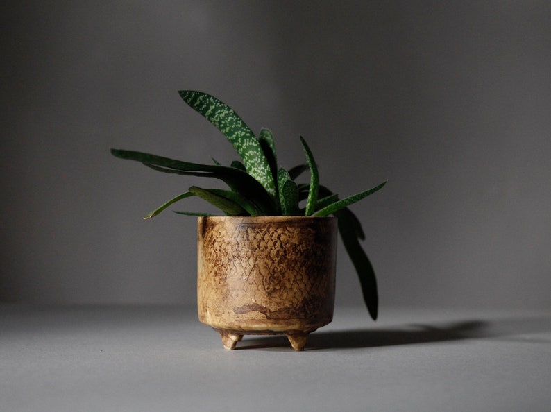 Handmade Flower Pot on four legs, Footed Ceramic planter, honey brown color R: 10cm 3.9 image 1