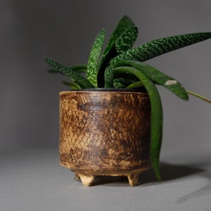 Handmade Flower Pot on four legs, Footed Ceramic planter, honey brown color R: 10cm 3.9 image 7