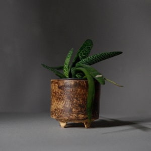 Handmade Flower Pot on four legs, Footed Ceramic planter, honey brown color R: 10cm 3.9 image 3