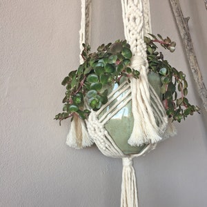 May include: A cream macramé plant hanger holding a green ceramic pot with a trailing succulent plant. The macramé design features intricate knots and tassels, creating a bohemian aesthetic. The plant hanger is suspended against a neutral wall.