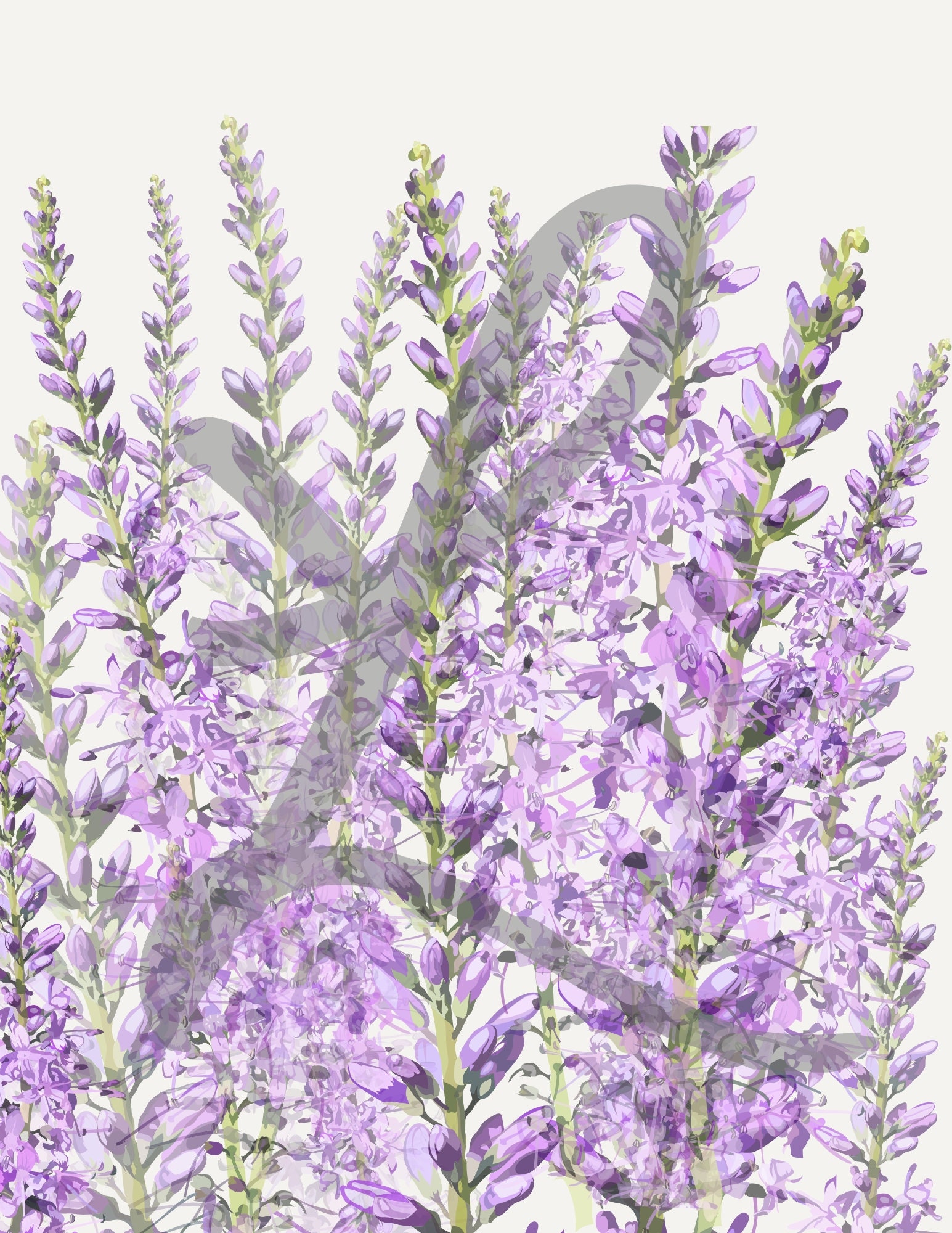 PRINTABLE 8.5x11 Lavender Flower Print | Etsy