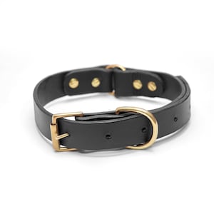 Personalized Leather Dog Collar with Brass Nametag, Custom Leather Dog Collar, Handmade Leather Dog Collar, Durable Thick Leather Dog Collar