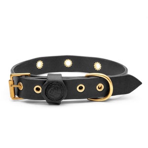 Personalized Leather Dog Collar with Brass Nametag, Custom Leather Dog Collar, Handmade Leather Dog Collar, Durable Thick Leather Dog Collar