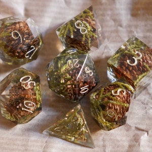May include: Set of seven polyhedral dice, each with a clear resin exterior. The dice are filled with a combination of brown pinecones and green moss. White numbers are visible on each die, indicating their values. The dice are designed for tabletop gaming.