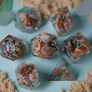 SIREN Song Dice | Real SEASHELL Handmade Resin Set Made in Italy for Tabletop Gamer, Dungeons and Dragons | Fast Shipping Option at Checkout