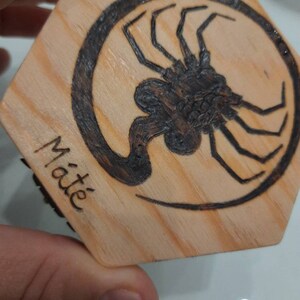 May include: Hexagonal wooden coaster featuring a dark brown insect design within a black circle. The word "Mat&eacute;" is written in black on the side. The coaster is made of light-coloured wood, with a natural grain.