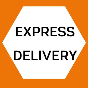 Express Delivery