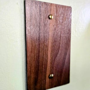 Brass Screws for Electrical Outlet and Light Switch Covers