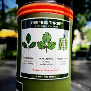 Poisonous Plants Sticker – Big Three Poison Ivy Oak Sumac Reference Decal, Hiking Survival Gift zdjęcie 1