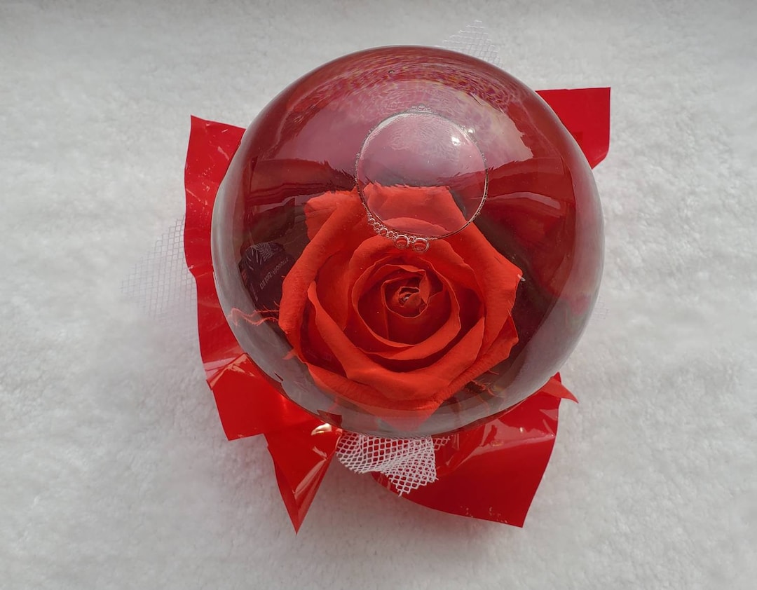 Forever Rose in Water, Globe Water Rose Globe - Etsy - How To Change The Water In A Rose Globe