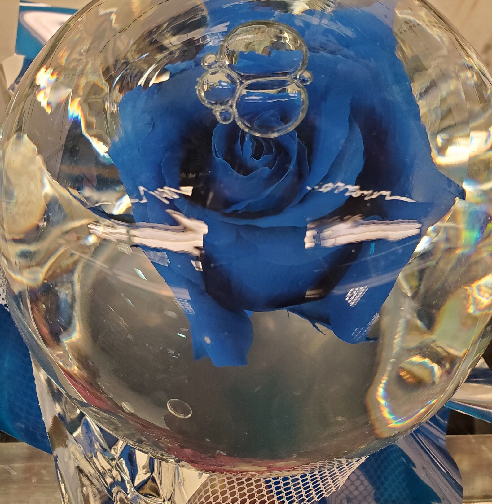 Forever Rose in Water Globe Water Rose Globe Etsy