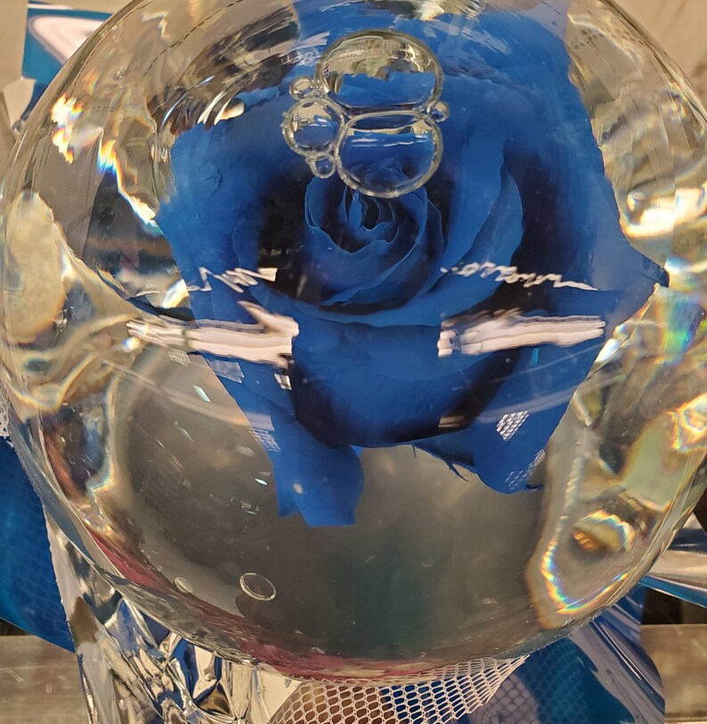 Forever Rose in Water Globe Water Rose Globe Etsy