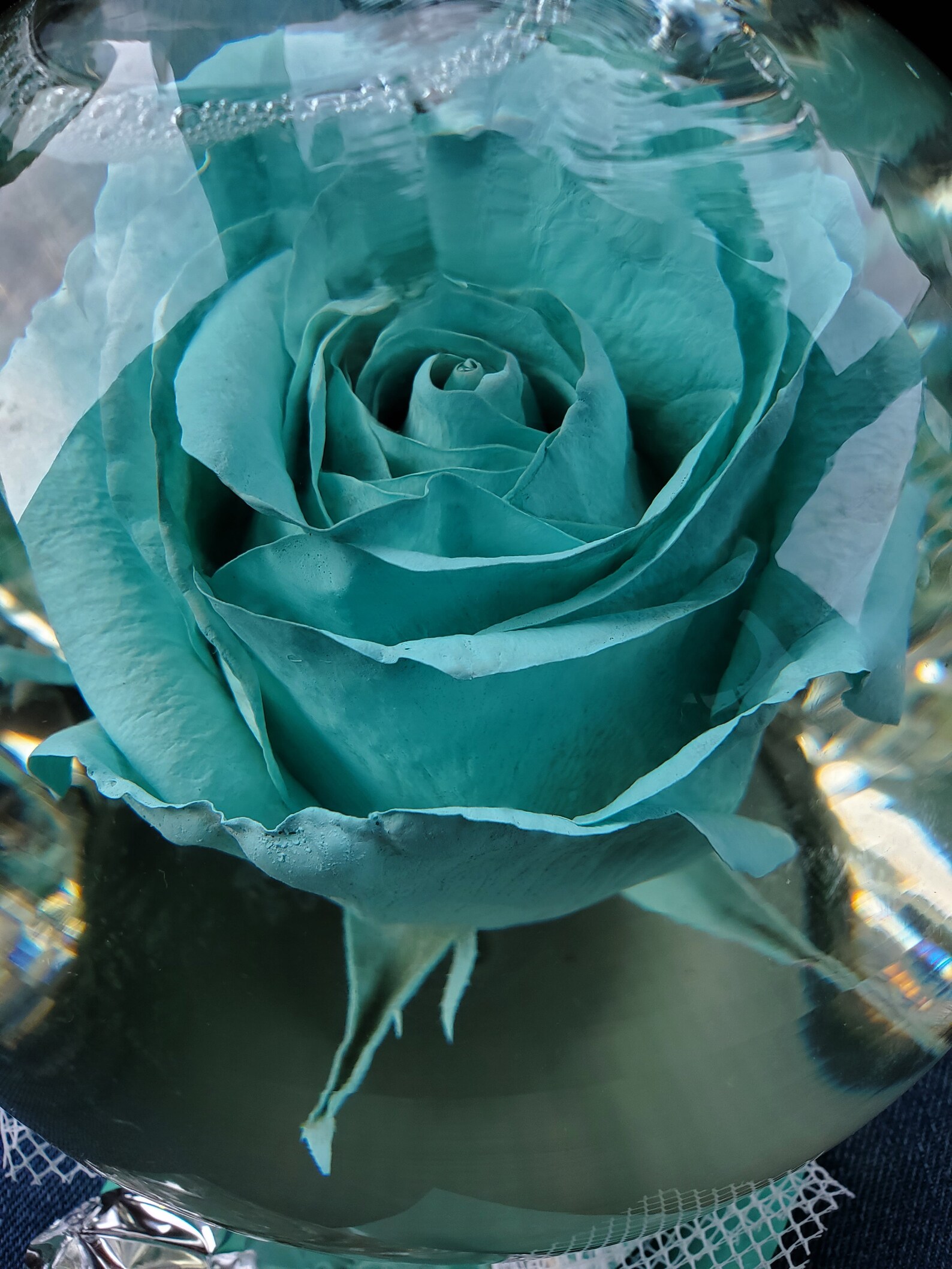 Forever Rose in Water Globe Water Rose Globe Etsy UK