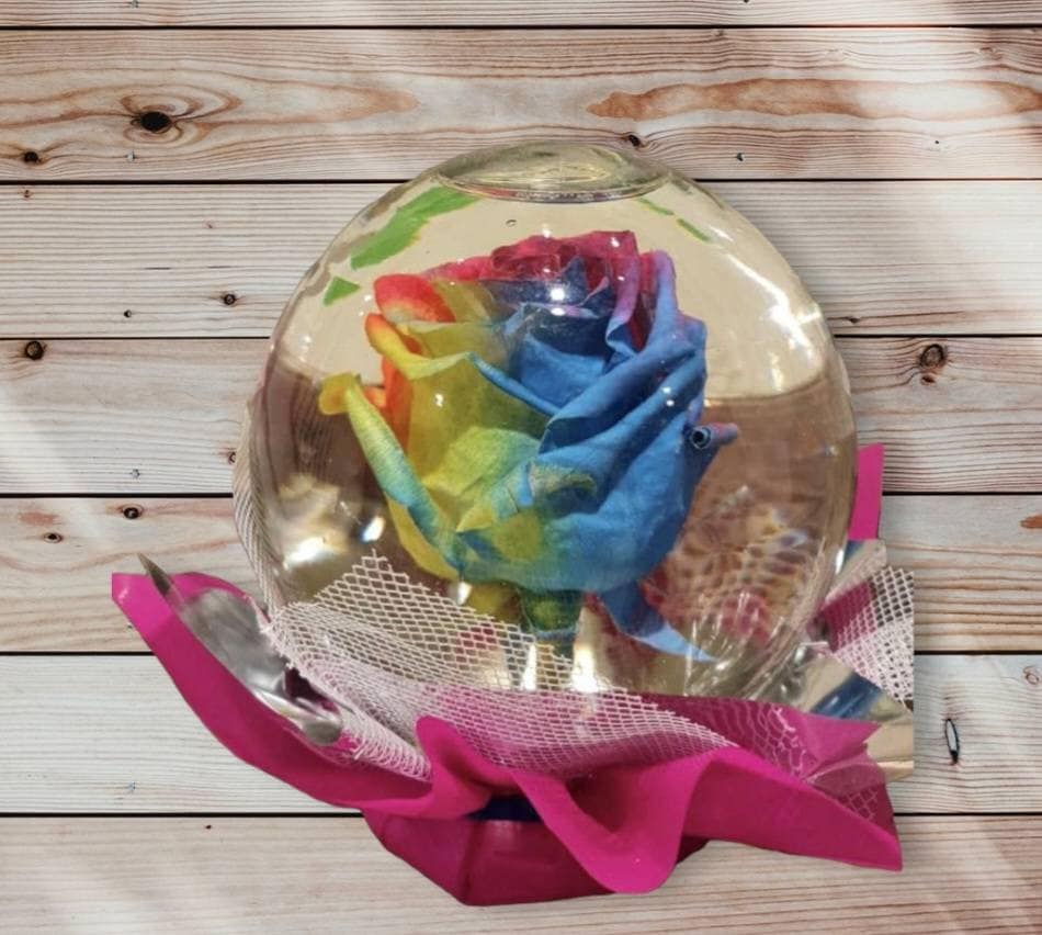 Forever Rose in Water Globe Water Rose Globe Etsy