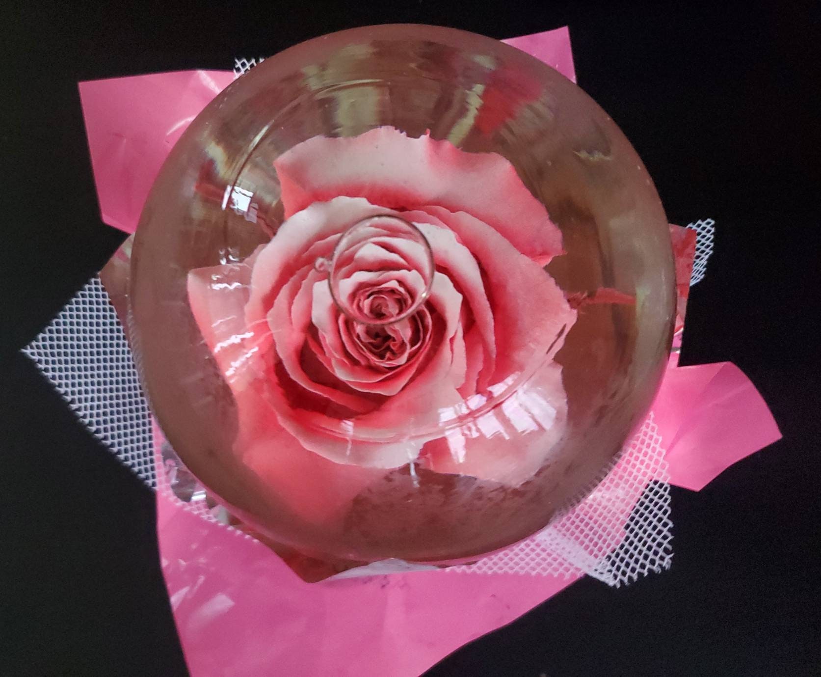Rose In Water Globe How Long Does It Last Forever Rose in Water Globe Water Rose Globe - Etsy