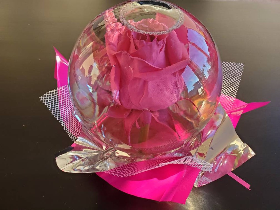 Forever Rose in Water Globe Water Rose Globe Etsy