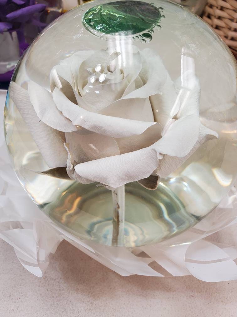 Forever Rose in Water Globe Water Rose Globe Etsy